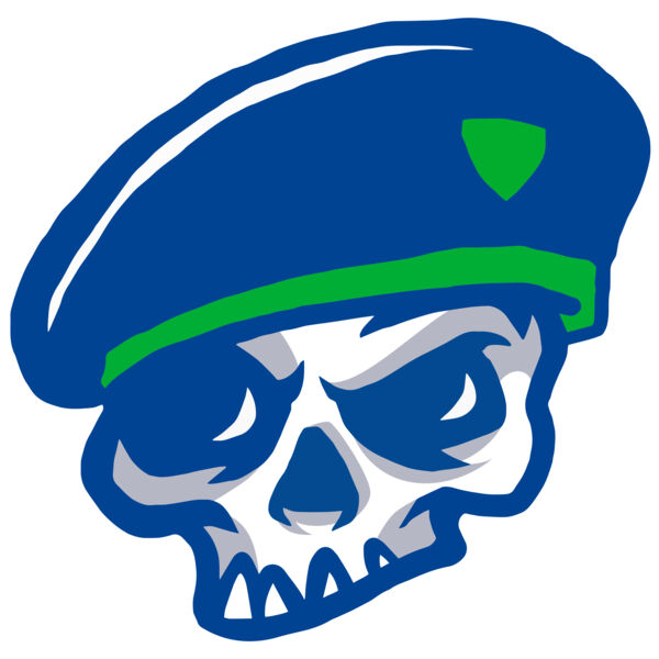 Elements Skulls logo template 100 Miniaturansicht