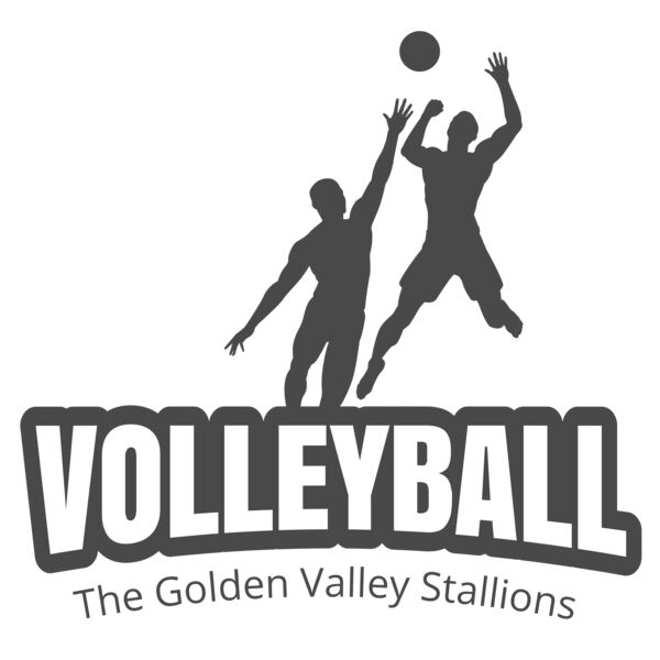 Volleyball 39 Miniaturansicht