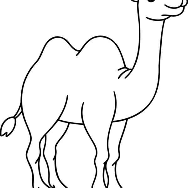 Camel   Clipart 1 Miniaturansicht