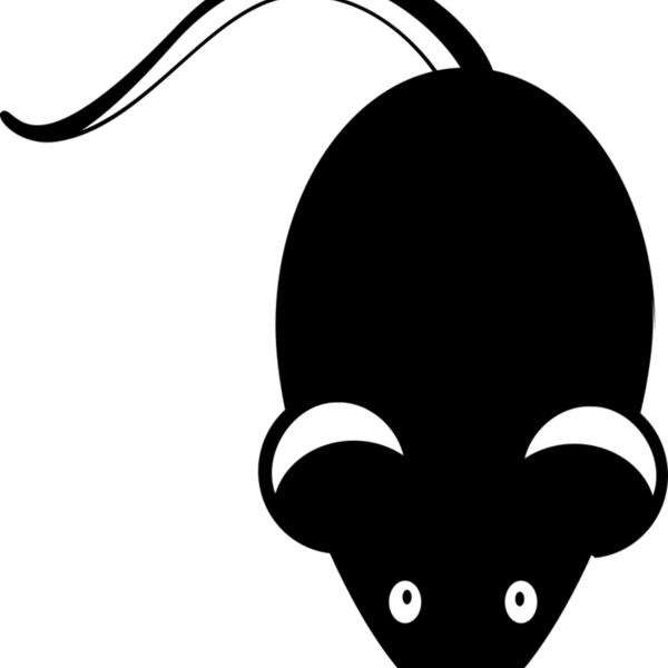 Mouse   Clipart 2 Miniaturansicht