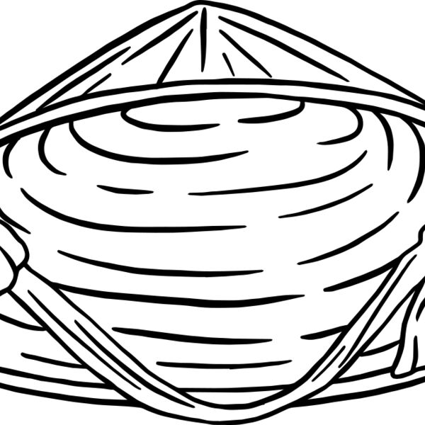 Asian Hat Miniaturansicht