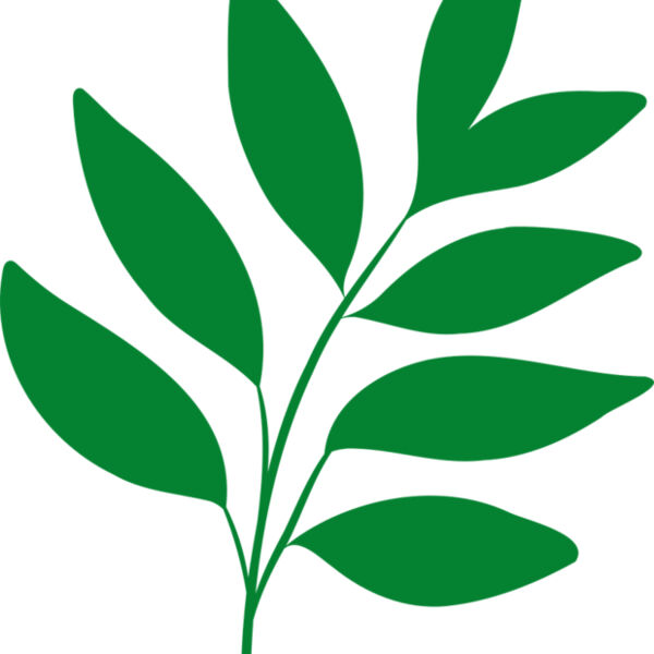 17 Leaves Miniaturansicht