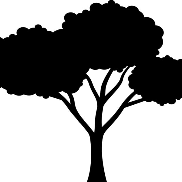 40 Tree Miniaturansicht