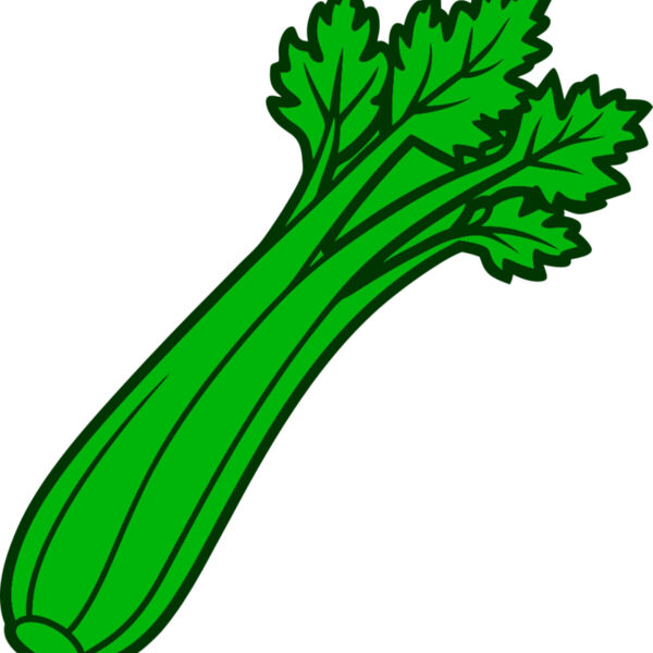 Celery Miniaturansicht
