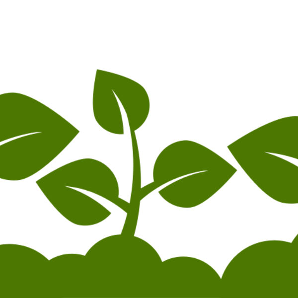 Plant Leaves Miniaturansicht