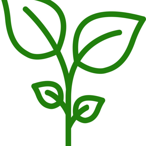 Plant Miniaturansicht