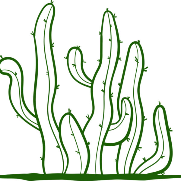 Cactus 2 Miniaturansicht