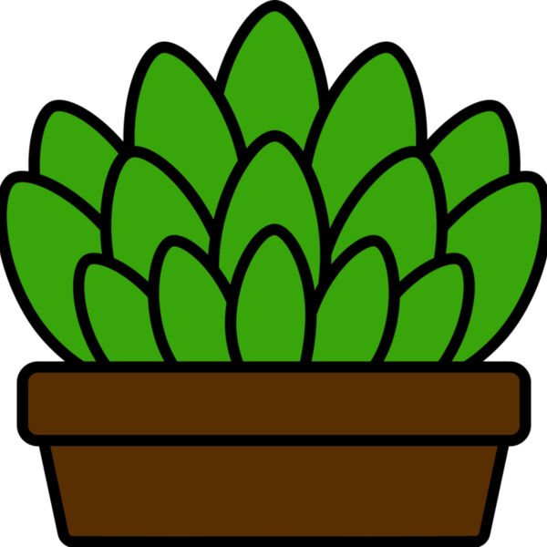 Succulent Plant Miniaturansicht