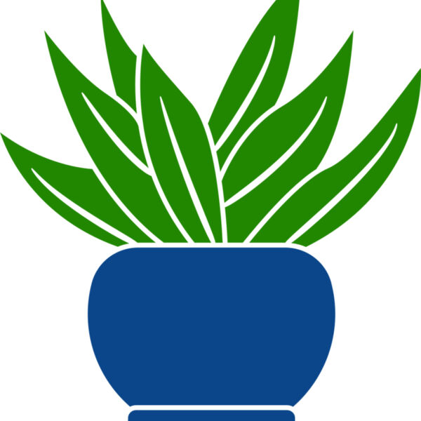 Succulent Plant 2 Miniaturansicht
