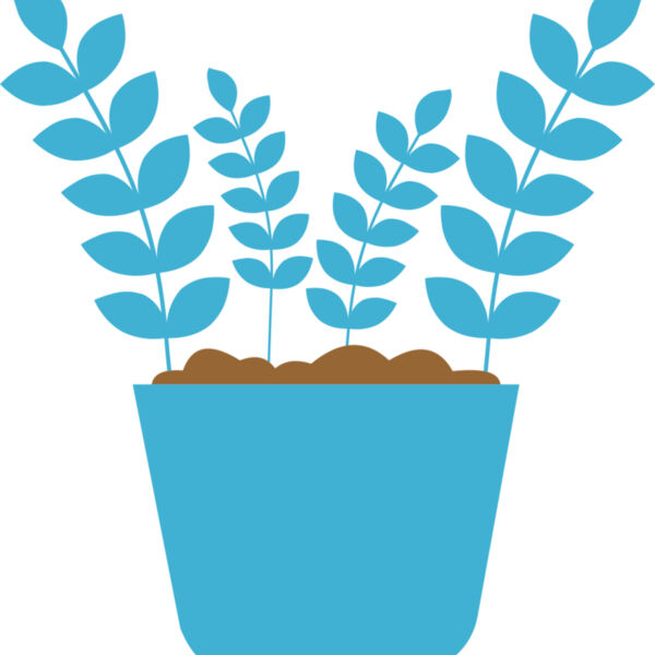 Plant 5 Miniaturansicht
