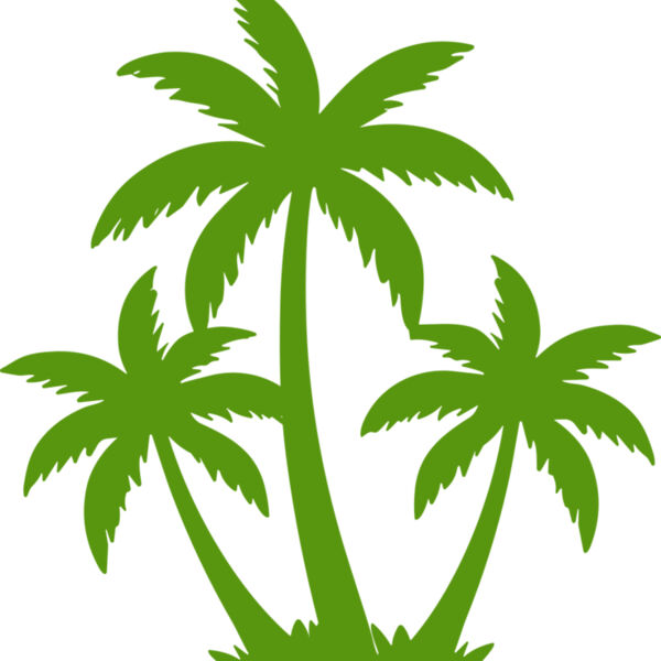 Coconut Tree Miniaturansicht