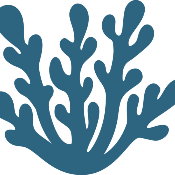 Sea Plants 4 Miniaturansicht