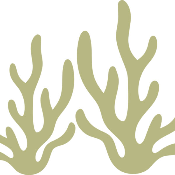 Sea Plants 2 Miniaturansicht