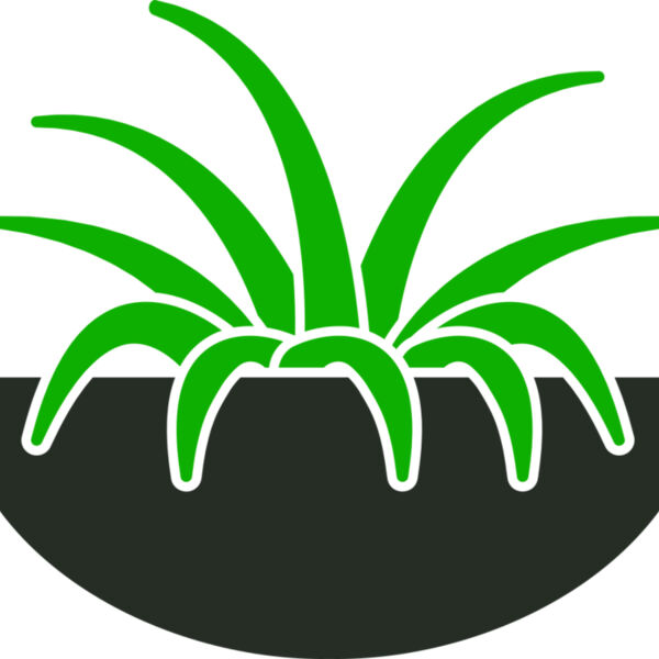 Plants 6 Miniaturansicht