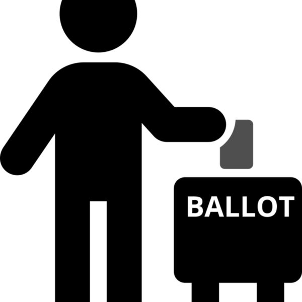 Voting 2 Miniaturansicht