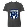 Herren T-Shirt Iconic 195 Ringspun Premium T Miniaturansicht
